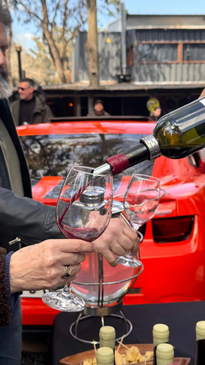 Brindis con vino de la casa en un encuentro al aire libre