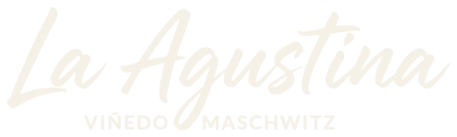 La Agustina · Viñedo Maschwitz
