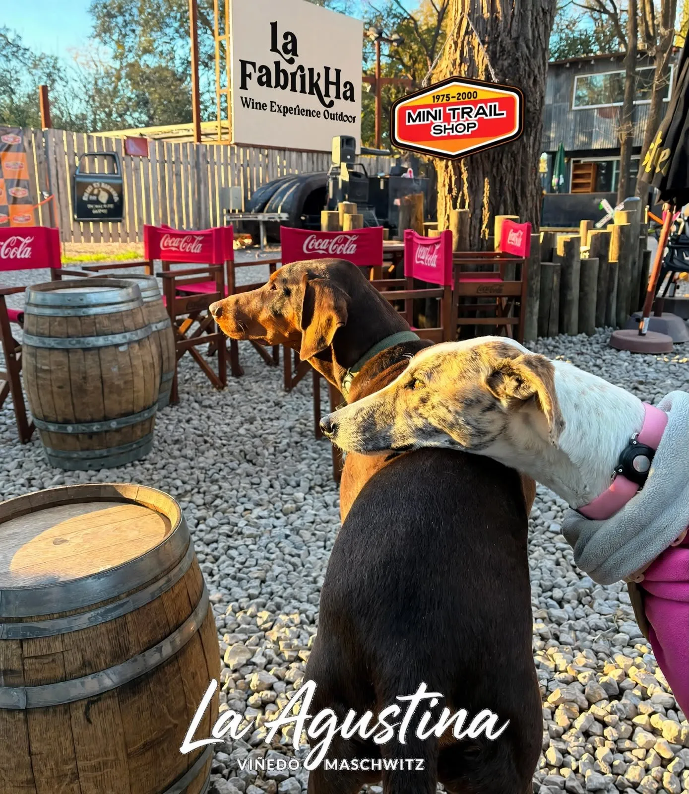Barricas y un perro amigo en un encuentro de La Agustina