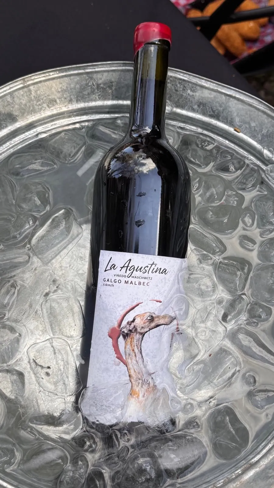 Botella de Galgo Malbec en la hielera